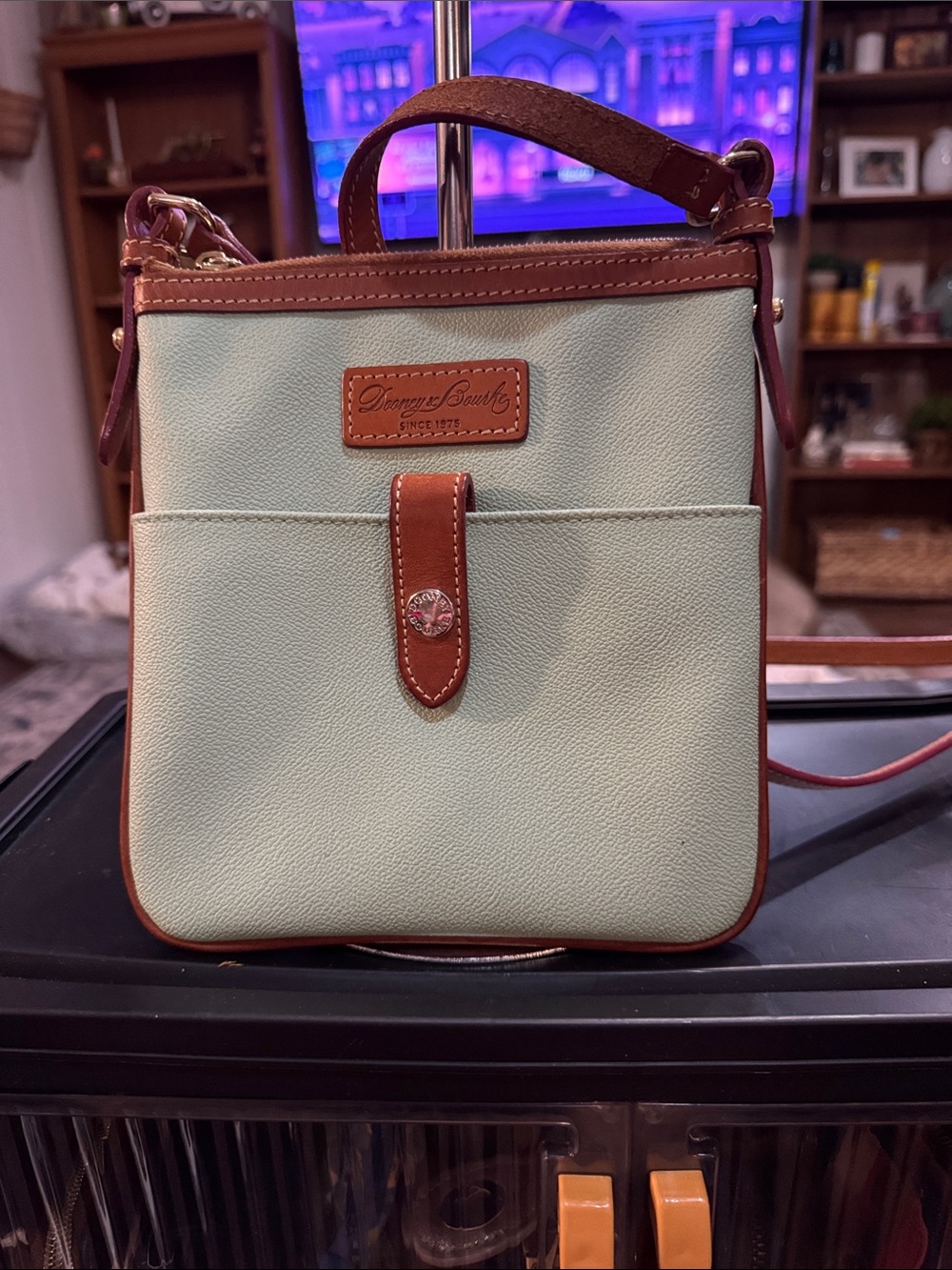 Dooney & Bourke Mint and Brown Crossbody Bag